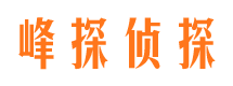 八道江市侦探公司